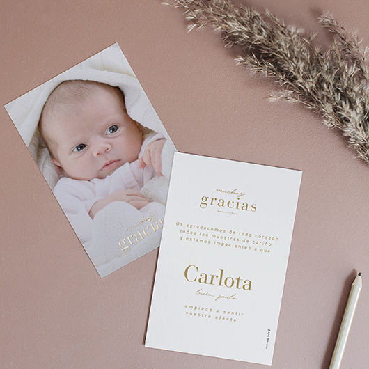 Realizamos toda nuestra actividad en interno